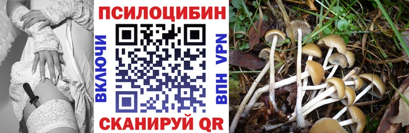 Псилоцибиновые грибы Cubensis  Пересвет 
